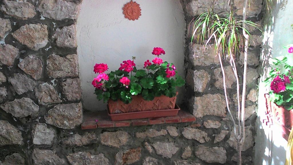 Il Raggio Apartment