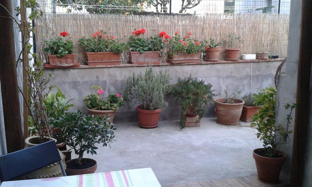 Il Raggio Apartment *